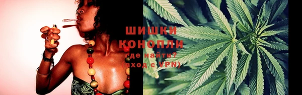 спиды Вязьма